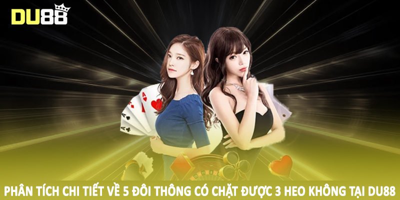 Phân tích chi tiết về 5 đôi thông có chặt được 3 heo không tại DU88