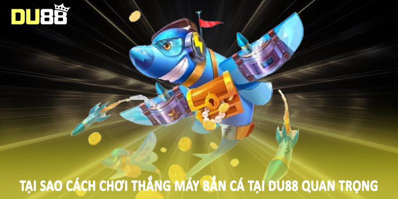 Tại sao cách chơi thắng máy bắn cá tại DU88 quan trọng