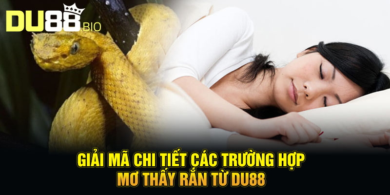 Giải mã chi tiết các trường hợp mơ thấy rắn từ Du88