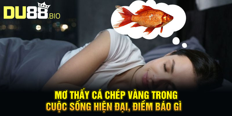 Mơ thấy cá chép vàng trong cuộc sống hiện đại, điềm báo gì