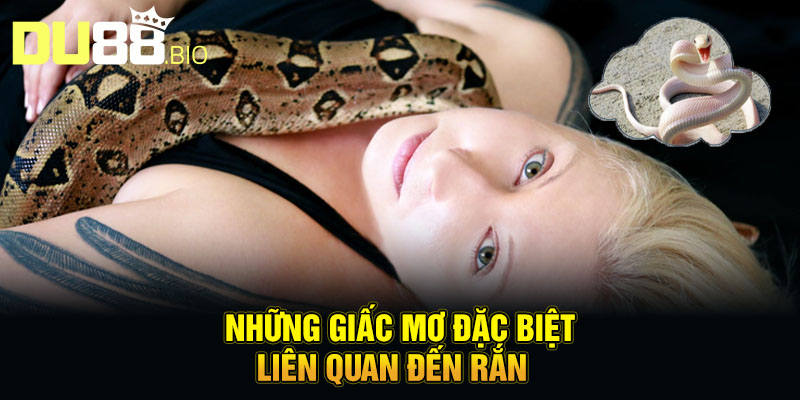 Những giấc mơ đặc biệt liên quan đến rắn
