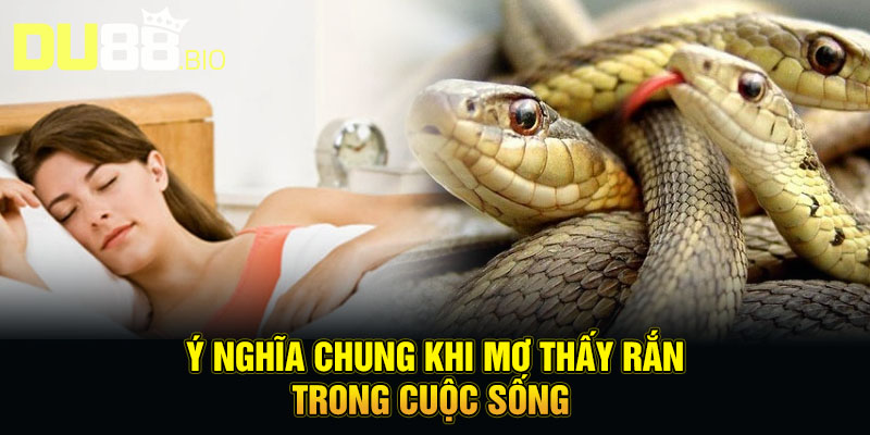 Ý nghĩa chung khi mơ thấy rắn trong cuộc sống